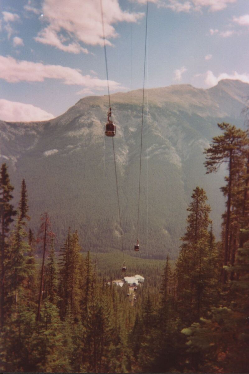 Looking along the cableway as the forest drops away